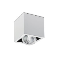 Surface mounted downlight CY-N1