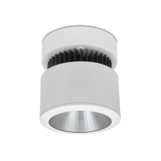 Griestu LED Gaismeklis SH-S